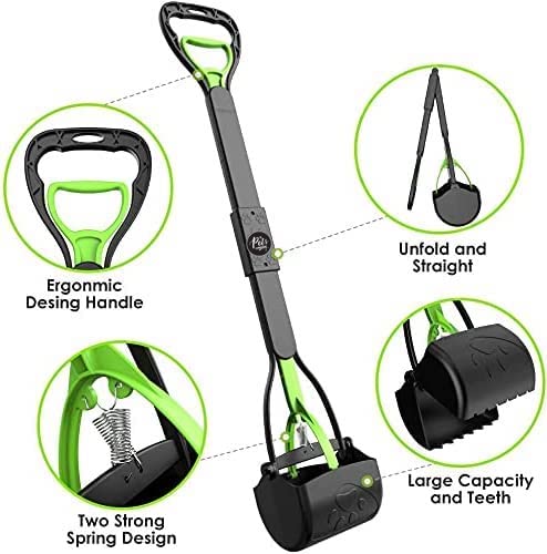 DOG SCOOP