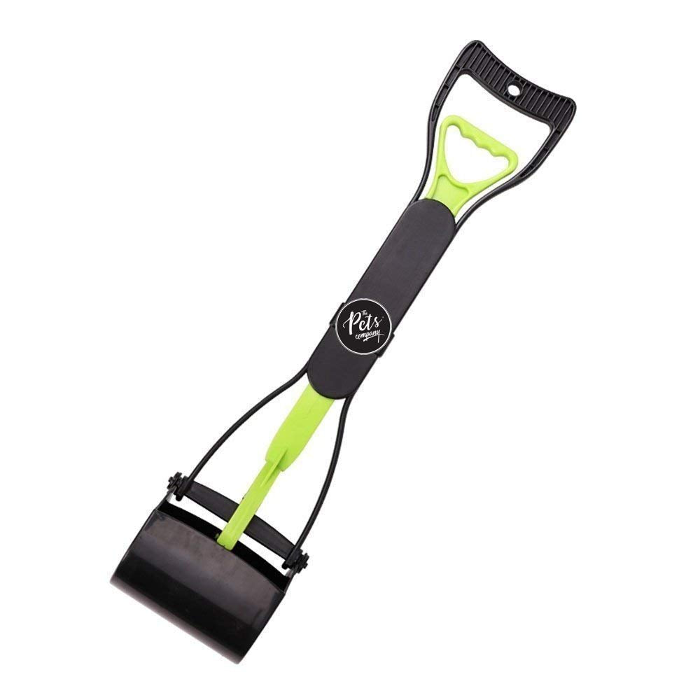 DOG SCOOP